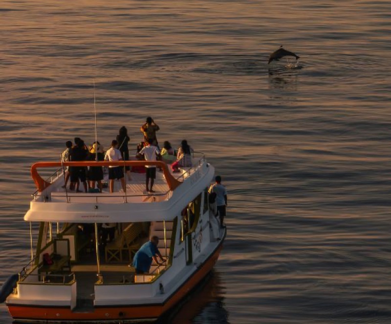 Local Island Day & Dolphin Cruise at Sunset, Sri Lanka & Maldives