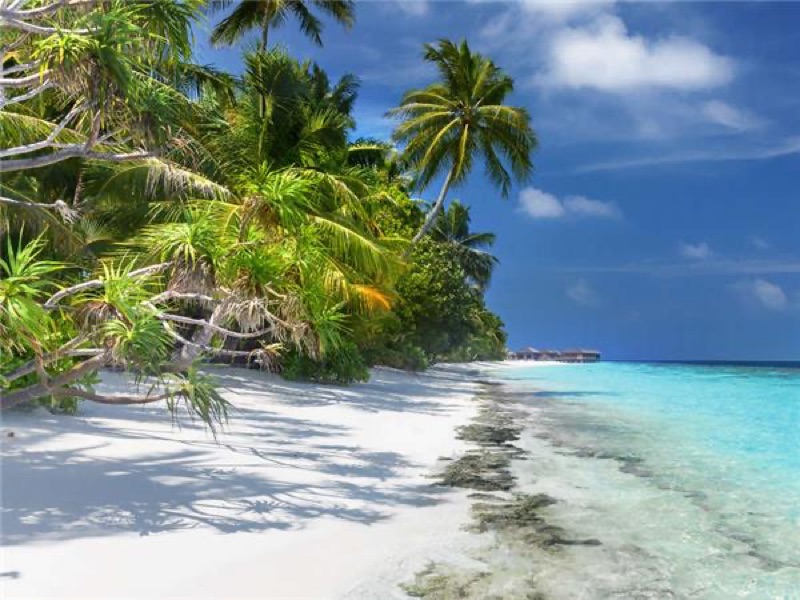 Final Morning in Paradise — Farewell to the Indian Ocean, Sri Lanka & Maldives