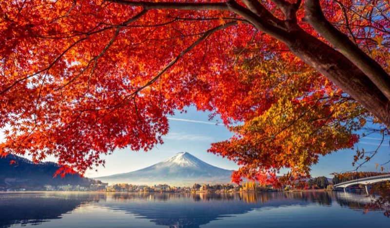 Lake Kawaguchi: Fuji with Autumn Foliage, Tokyo, Japan