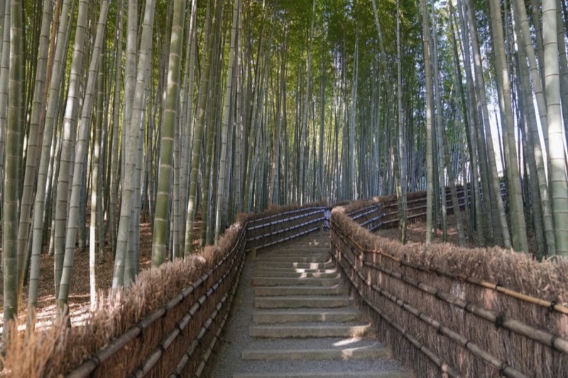 Arashiyama Done Properly, Early Start, Bamboo, River & Hills, Japan