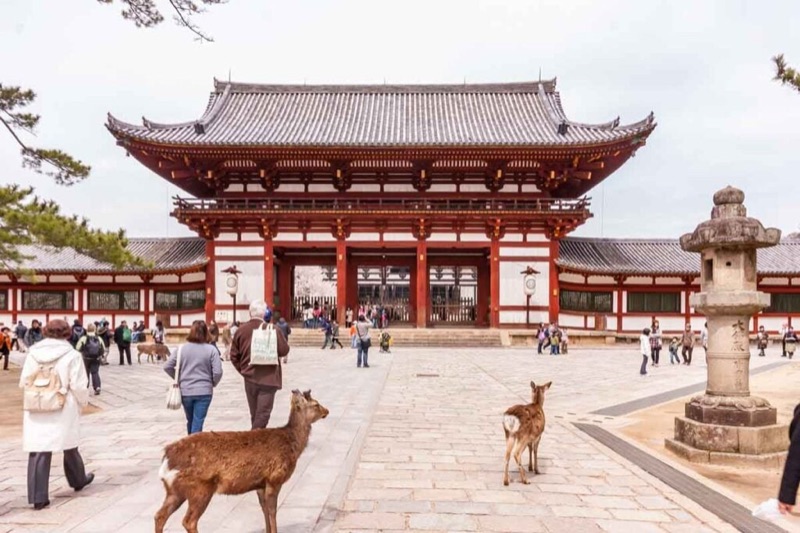 Nara Day Trip, Big Temple Scale & a Playful Slower Pace, Japan