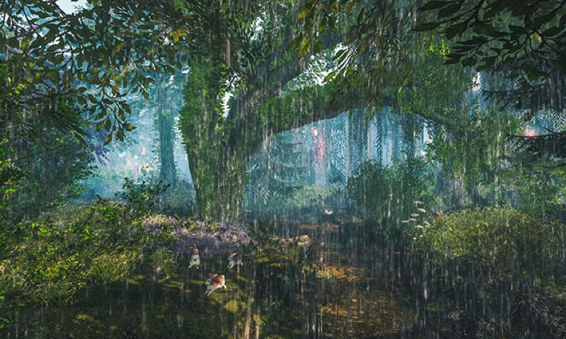 Shift Gears in Hakone, Trains, Sculpture & Onsen Silence, Japan