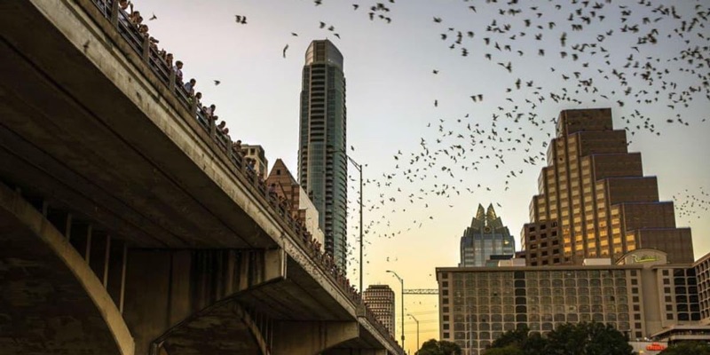 East Side Art, Murals & Mezcal, Austin, TX, USA