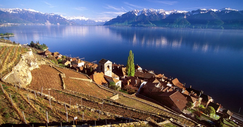 Lavaux UNESCO Vineyards & Lausanne, Switzerland