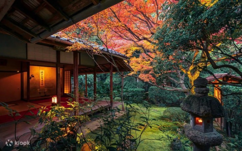 Zen Contemplation, Farewell Kyoto & Final Night, Kyoto, Japan