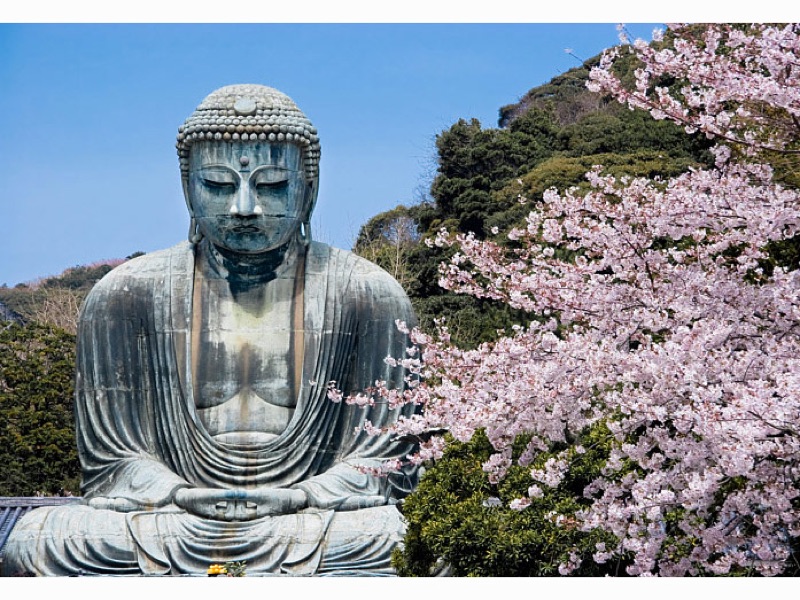 Seaside Temples & the Great Buddha, Osaka · Kyoto · Tokyo