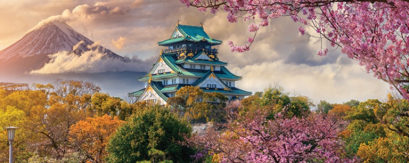 Kyoto at Your Own Pace, Osaka · Kyoto · Tokyo