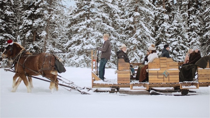 Snowshoeing, Nordic Skiing & Sleigh Ride Dinner, Big Sky, Montana