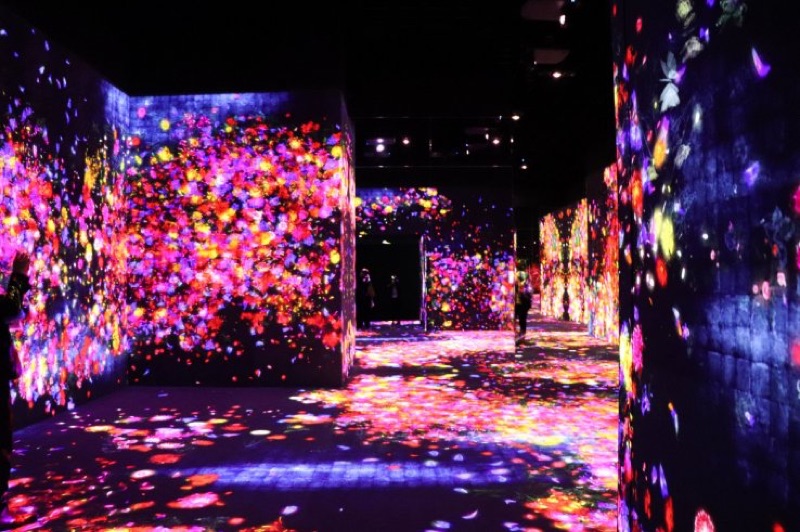 teamLab Digital Art & Tokyo Bay, Japan