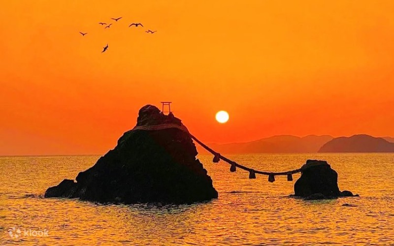 Toba Aquarium & Pearl Island — Ocean Day, Japan