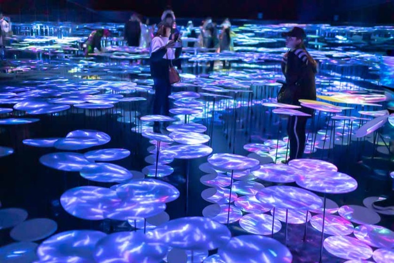 Futuristic Tokyo — Odaiba, TeamLab & Roppongi Nights, Japan
