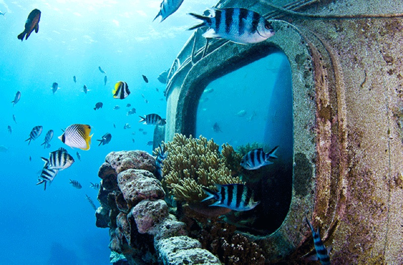 Fish Eye Marine Park & Underwater Observatory, Guam