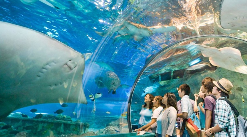 Tumon Beach Day & UnderWater World, Guam