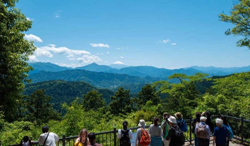Adventure Day: Mount Takao Hike & Autumn Trails, Tokyo, Japan
