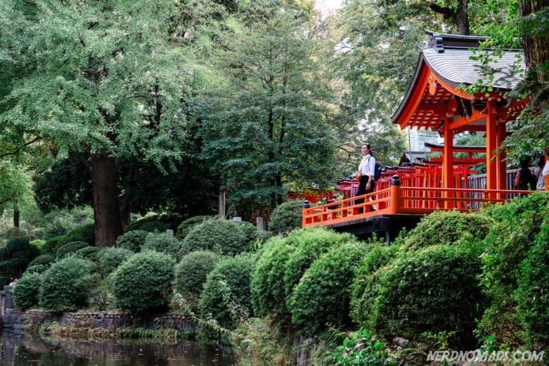 Vintage Vibes, Hidden Gems & Tokyo Farewell, Tokyo, Japan