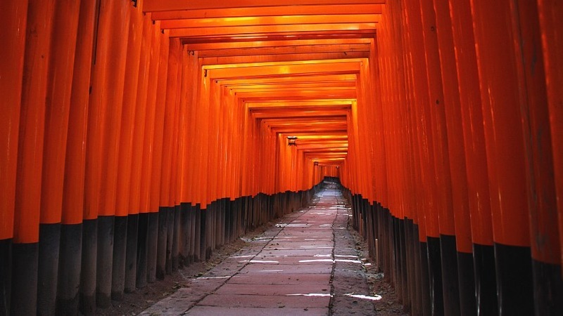 Bamboo, Gold & Ten Thousand Torii Gates, Japan