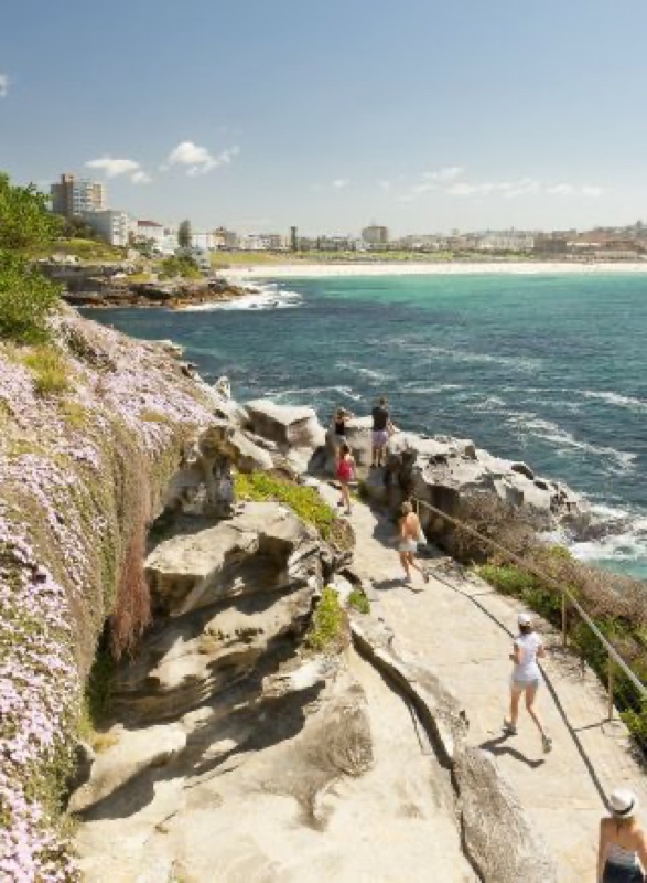 Bondi to Coogee Coastal Walk, Australia & New Zealand