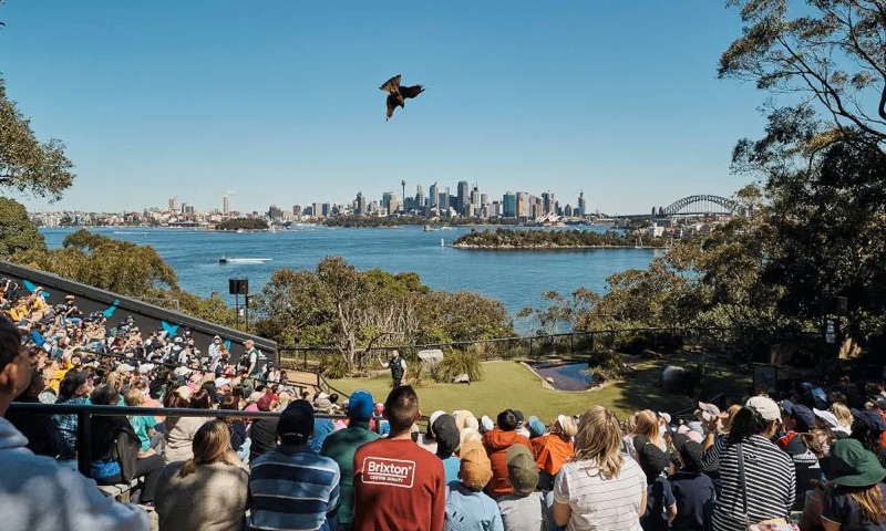 Sydney — Taronga Zoo & North Shore Final Day, Australia & New Zealand