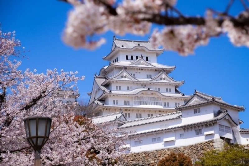 Himeji Castle Day Trip & Osaka Night, Tokyo, Japan