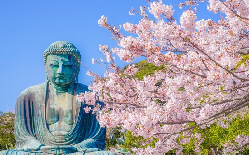 Kamakura: Warrior Capital, Great Buddha & Enoshima Sunset, Japan
