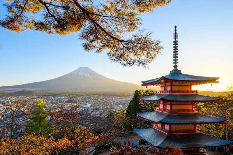 Seafood, Luxury & City Lights, Osaka, Nara, Mt. Fuji, Hakone, Tokyo, Japan