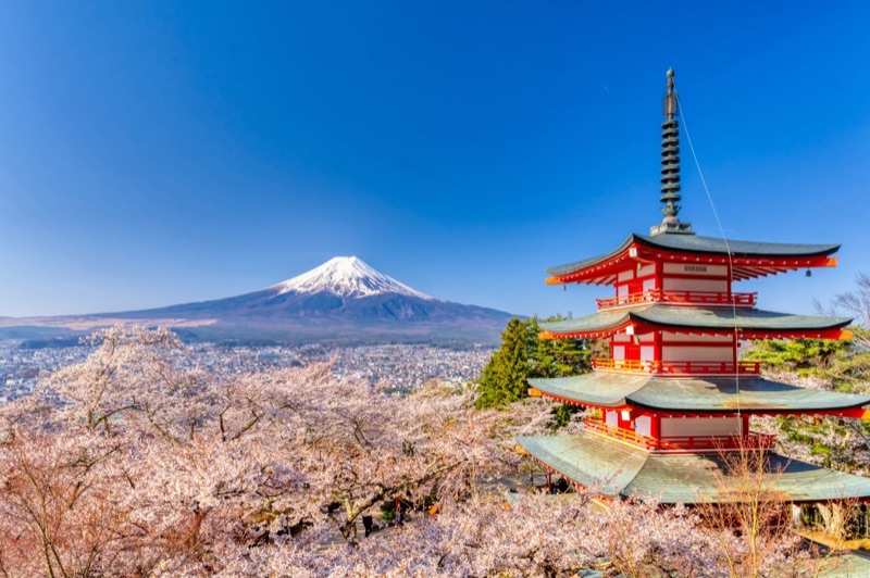 In the Shadow of Fuji, Osaka, Nara, Mt. Fuji, Hakone, Tokyo, Japan