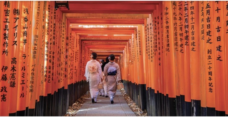 Sacred Deer & 10,000 Torii Gates, Tokyo, Osaka & Kyoto, Japan