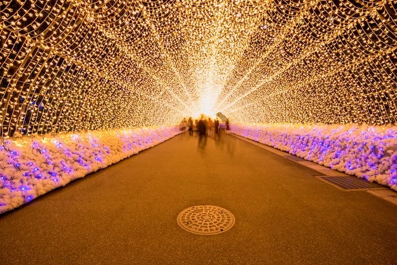 Pottery Hands-On, Nabana Illumination & Factory Night Cruise, Yokkaichi, Mie Prefecture