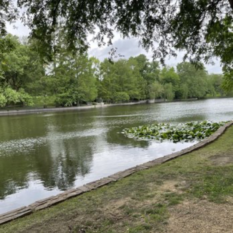 Spring Blooms, Lakeside Walks & Neighborhood Hangs, Dallas, Texas