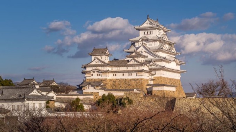 Himeji Castle Day Trip, Then Kobe After Dark, Japan