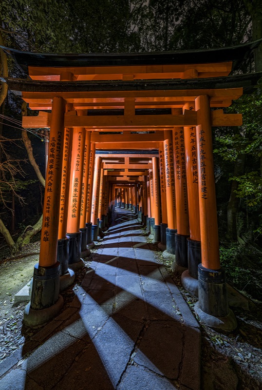 Move to Kyoto — Torii Gates at Dawn, Lanterns at Night, Japan