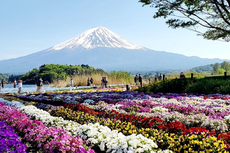 Ginza — Art, Architecture & Sushi at Dawn, Osaka, Nara, Mt. Fuji, Hakone & Tokyo, Japan