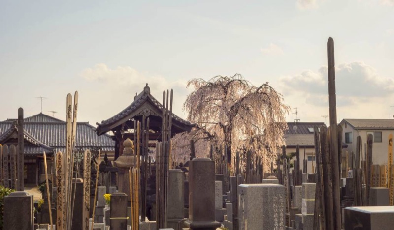 Old Tokyo — Yanaka's Lost Neighbourhood & Ueno Culture, Osaka, Nara, Mt. Fuji, Hakone & Tokyo, Japan