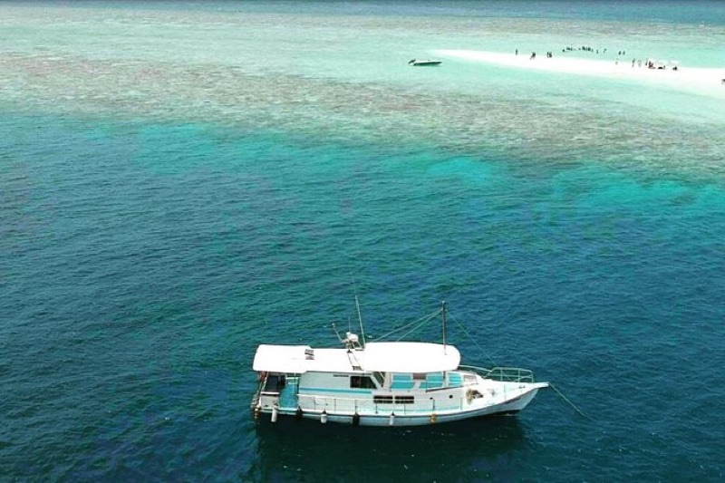Dolphin Cruise & Sandbank Picnic, Maldives