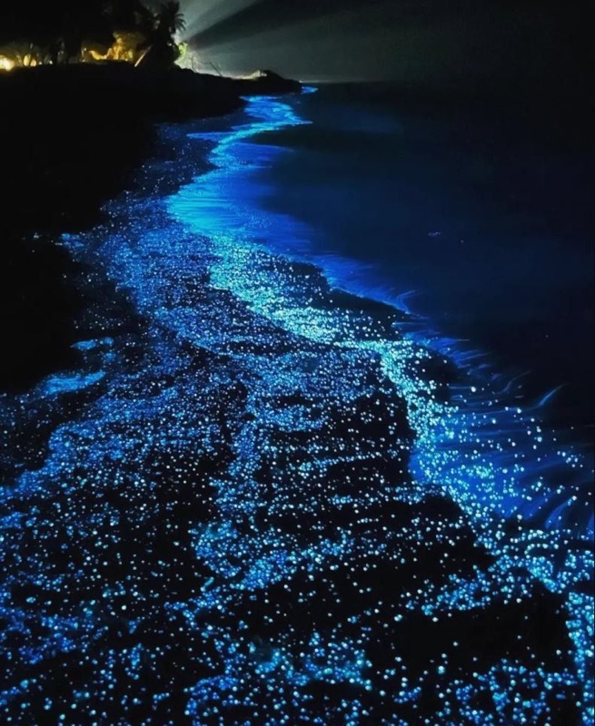 Ocean Adventures & Bioluminescent Beach, Maldives