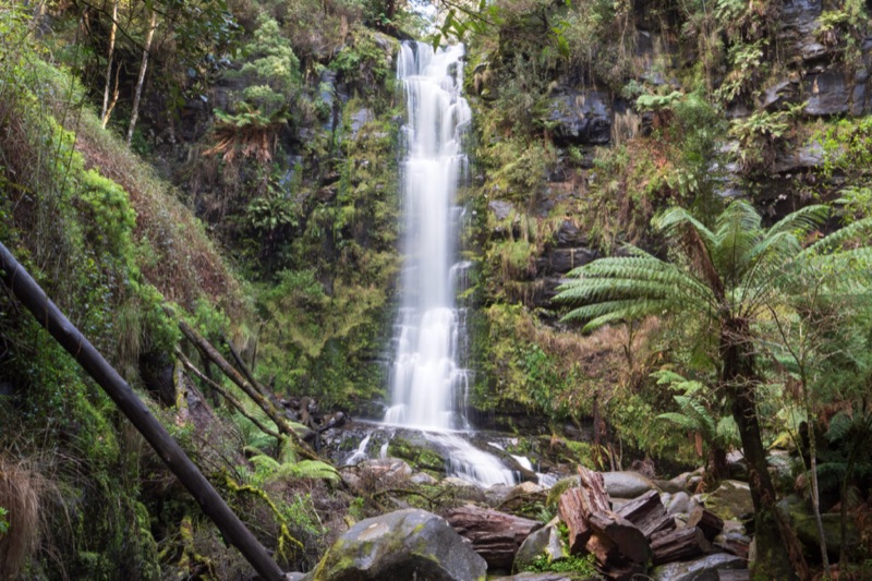 Great Ocean Road Day 2 — Rainforest & Return, Australia & New Zealand