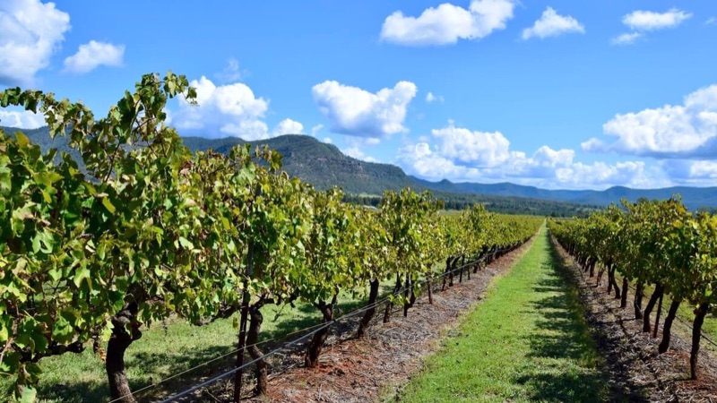 Sydney — Hunter Valley Wine Day Trip, Australia & New Zealand