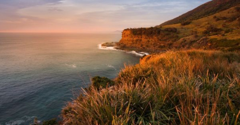 NSW South Coast Day Trip — Royal National Park, Australia & New Zealand