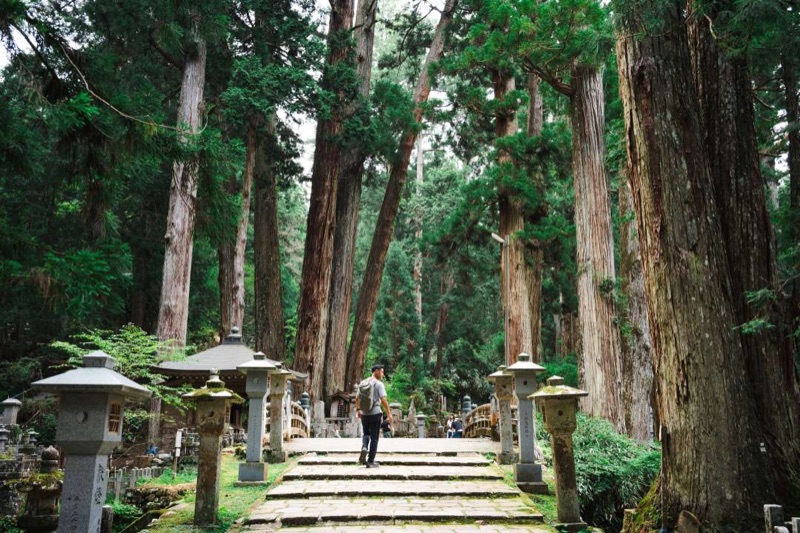 Koyasan — Sacred Mountain Morning, Japan