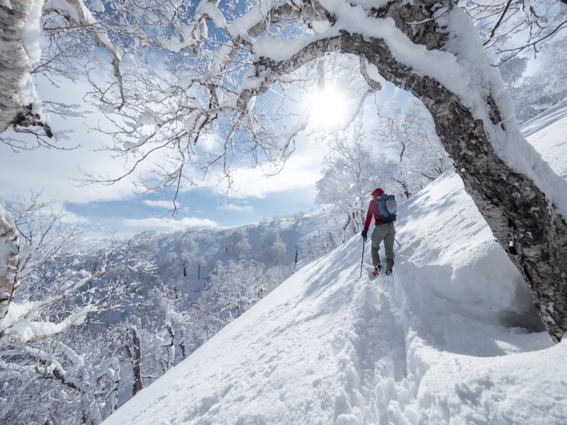Kiroro Resort powder skiing, Hokkaido