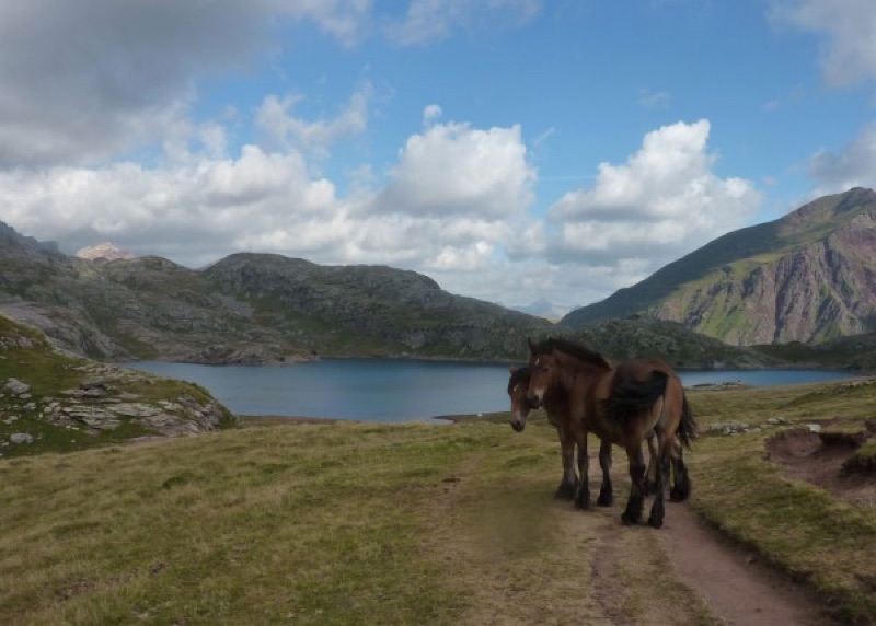 Eastern Ride: Bielsa, Pineta & the Hidden Valleys, Aínsa, España