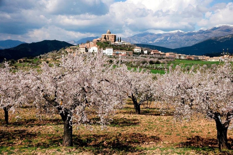 South: Canyon Country & Sierra de Guara, Aínsa, España