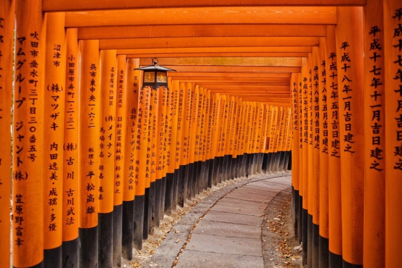 Fushimi at Dawn, 1,001 Buddhas & Higashiyama Washi, Kyoto, Japan
