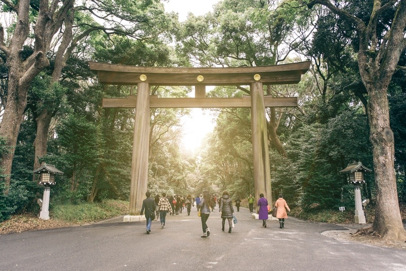 Sacred Forest to Scramble Crossing, Tokyo, Japan