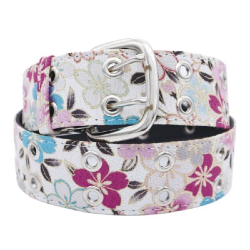 Into the Cherry Blossom Belt, Japan