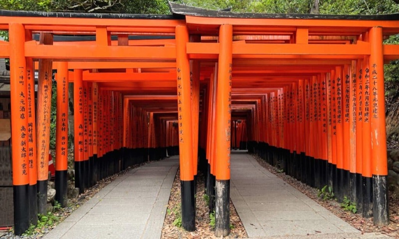 Thousand Gates, Hot Springs & One Last Kyoto Night, Tokyo & Kyoto, Japan