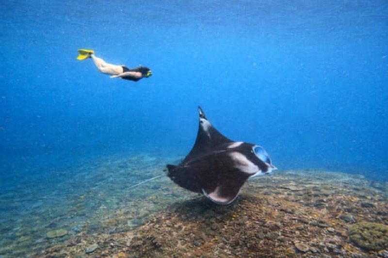 Nusa Penida — East Coast & Manta Snorkeling, Bali, Indonesia