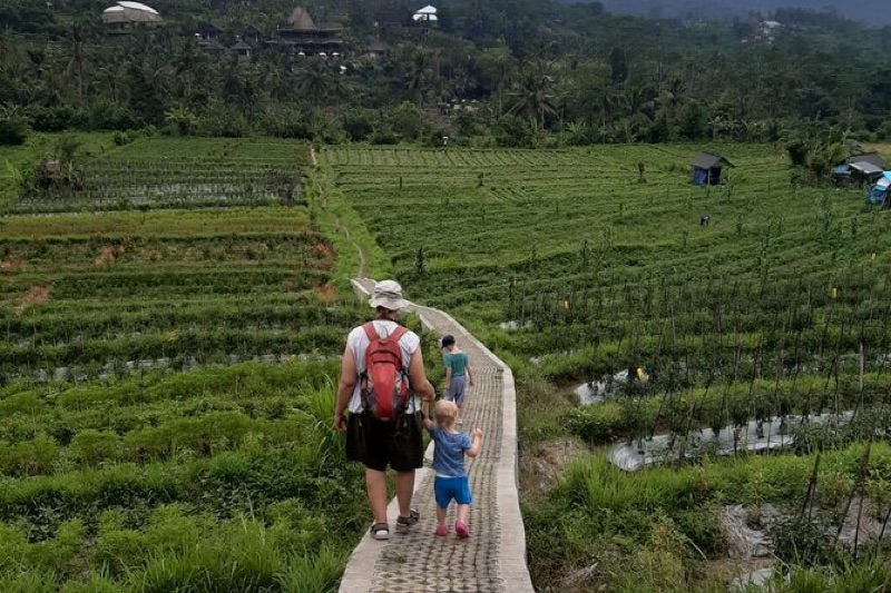 Sidemen Rice Terraces & Village Life, Bali, Indonesia