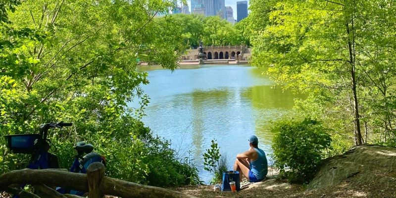 Central Park, Free Museums, Empire State & Yankees vs Red Sox!, New York City, USA