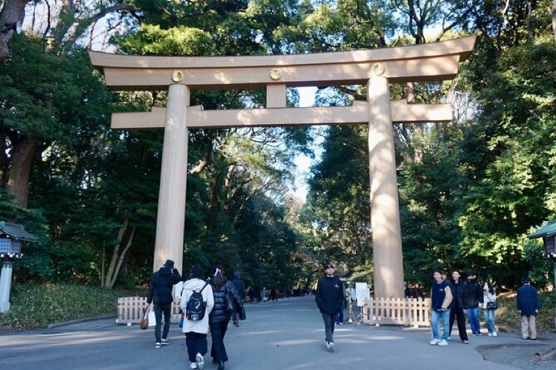 Shibuya Scramble, Harajuku Style & Meiji Shrine, Japan